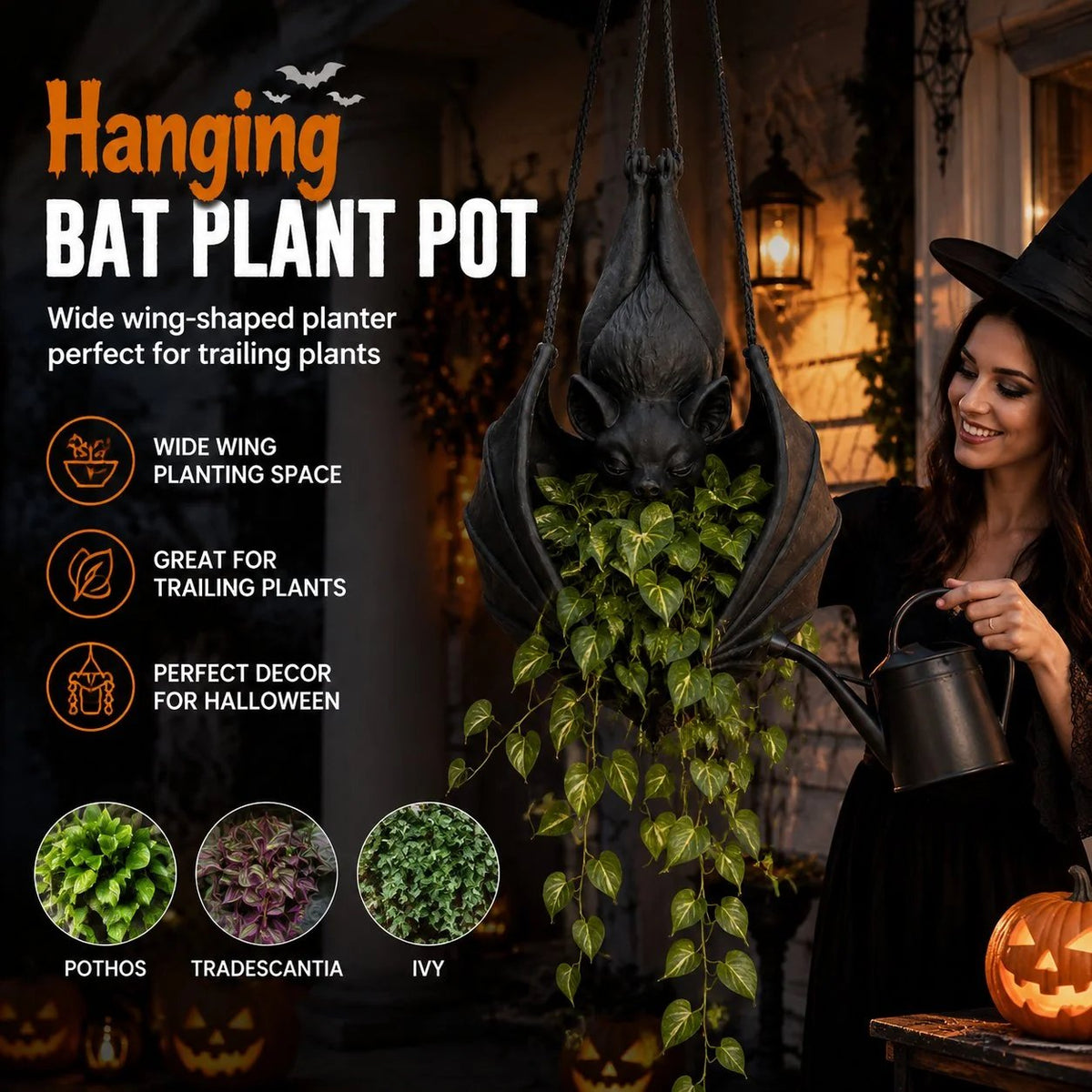 Hanging bat plant pot with wide wing-shaped planting space for trailing plants