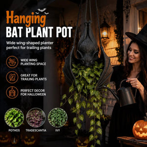 Hanging bat plant pot with wide wing-shaped planting space for trailing plants