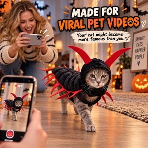 Cat walking in the centipede costume with the body trailing behind